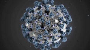 corona-virus